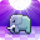 Disco Zoo (Mod Money )