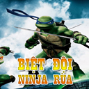 Biệt Đội Ninja Rùa